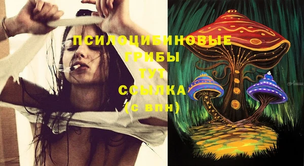 гашиш Бородино