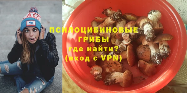 гашиш Бородино