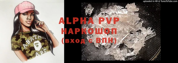 сатива Бронницы