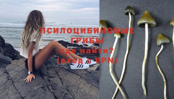 гашиш Бородино